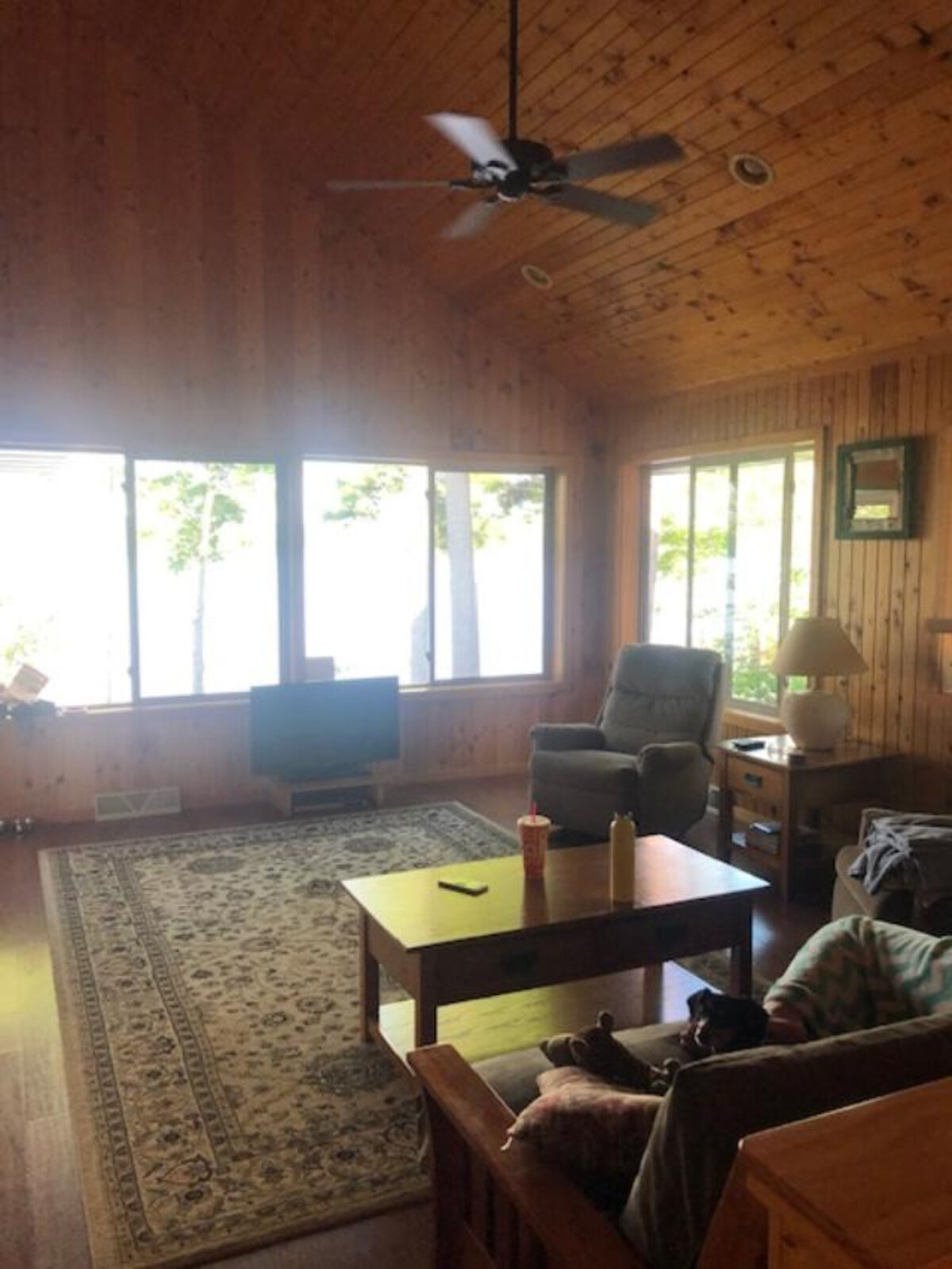 Eagle's Nest vaulted ceiling living room