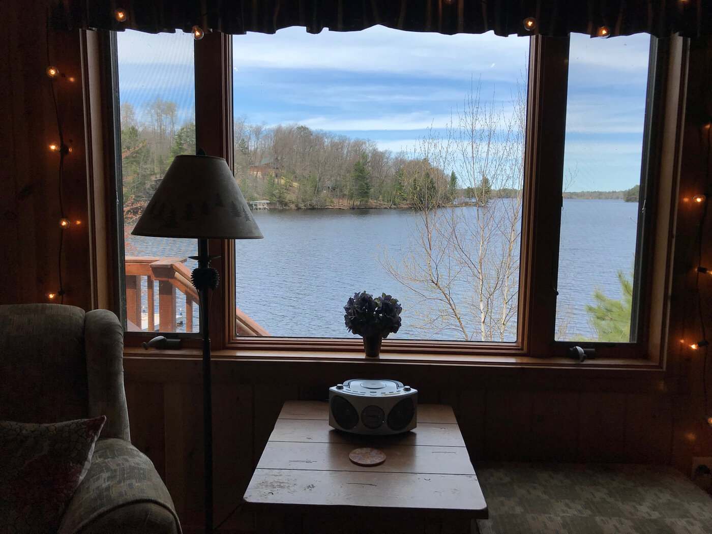 Lake view from inside the cottage